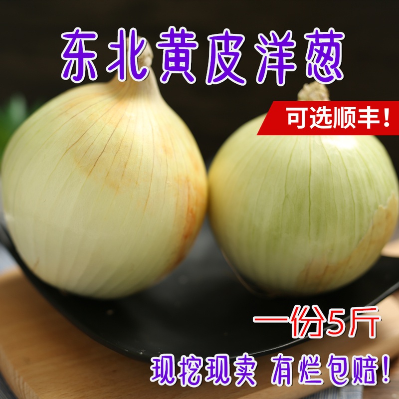 Northeast Fresh Yellow Pig onion farmhouse Self-planted vegetables Onion Onion Scallion Scallion White Onion 5 Catty
