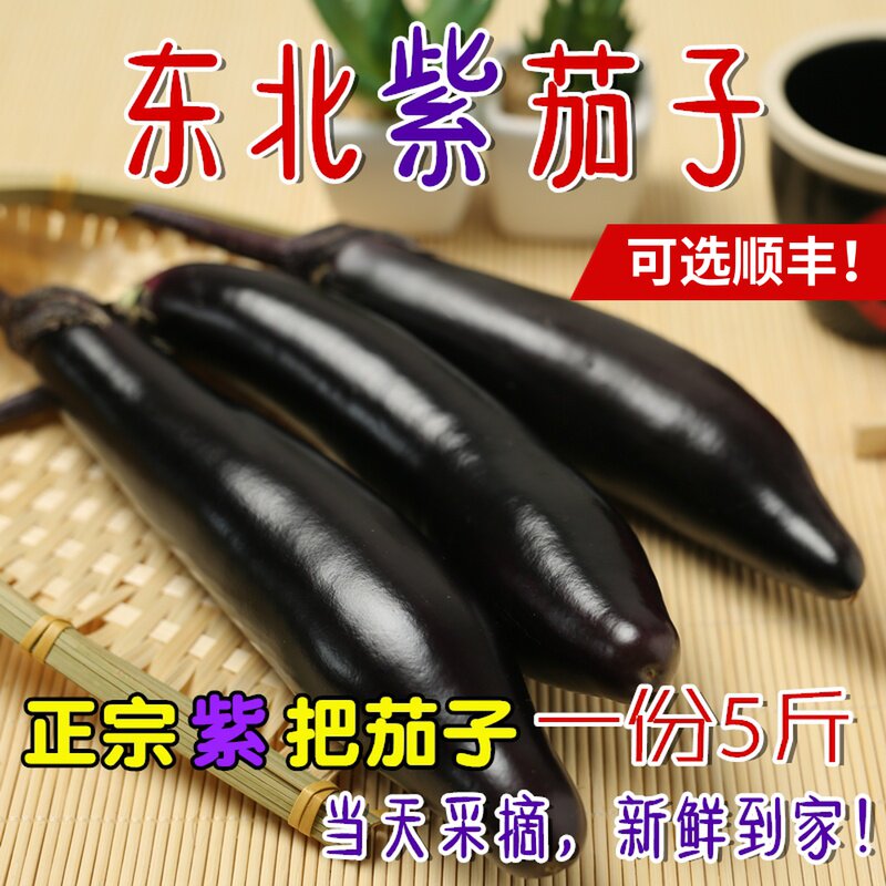 Northeast Teryield large purple eggplant farmhouse Self-planting fresh Milk Purple Cougar Eggplant Raw to eat long eggplant 5 kilos