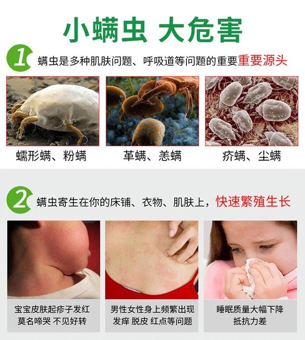 4 gói ngoài túi để loại bỏ mạt giường nhân tạo để diệt ve dán thuốc chống côn trùng dùng một lần không xịt thuốc xịt gián
