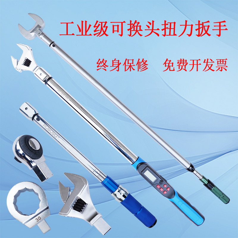 Torque Wrench with High Precision, Interchangeable Heads, Adjustable Preset Torque, Torque Conversion, Movable Head Socket Wrench
