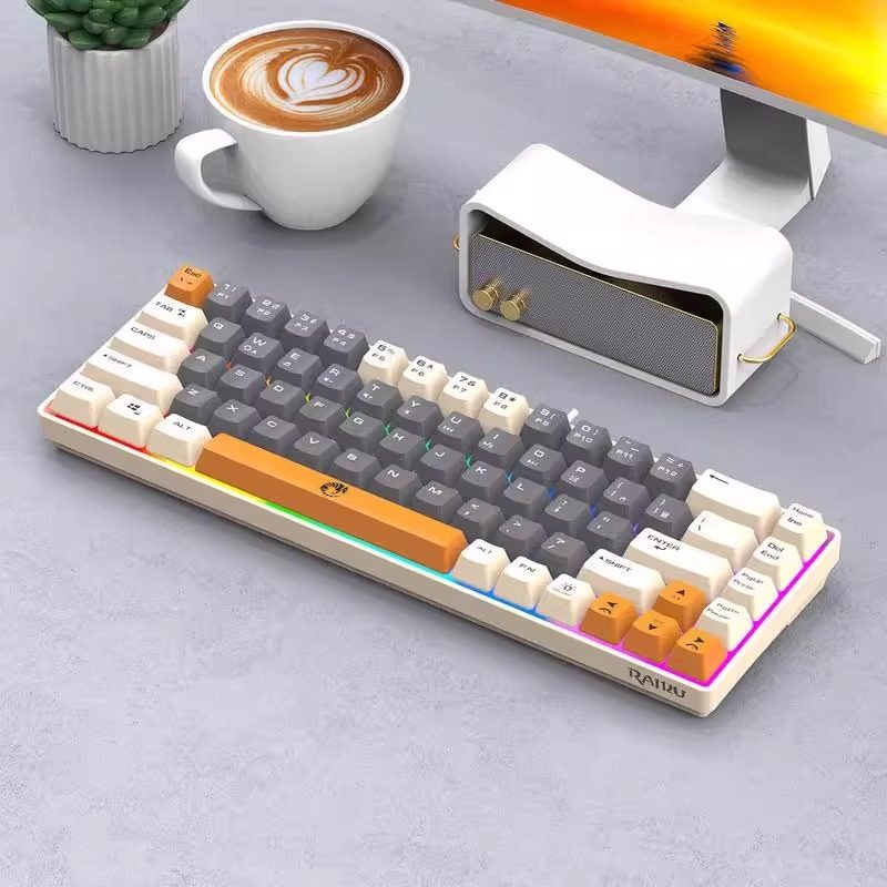 Leikui K68 Dual-Color Gaming Keyboard, Small Mini Wired External Keyboard for Laptops, Dedicated 68 Keys