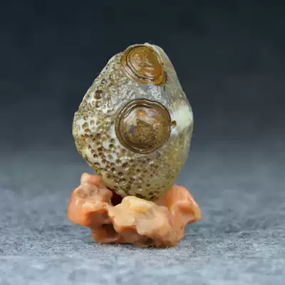 Original mine nine-eye shale Tibet genuine Meng Tianzhu raw stone Tianyan Lizi strong energy Buddha Beads pendant pendant