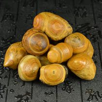 Natural other specimens ancient methods raw minerals genuine Tianyan original stone Buddha beads pendants nine-eyed stone shale Mongolian beads