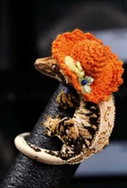 Gecko Hamster Parrot Small Hat Adjustable Buckle Clothes Hand-knitted Wool Hat Golden Bear Honey Bag Glider Flower Branch