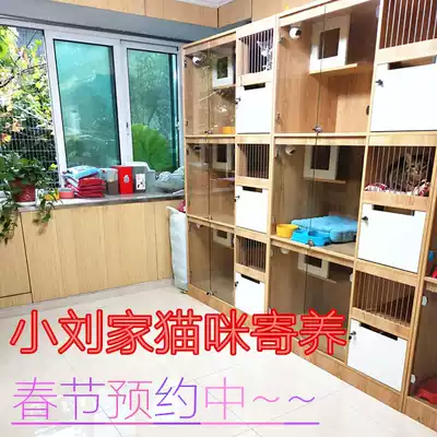 Shanghai Cat Foster Care Shanghai pet foster care Shanghai cat foster care cabinet Kun Shan cat foster care 24H monitoring