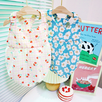 Pet Summer Clothes Small Dogs Teddy Bib Bear Bombshell Pumpkin Crushed Pumpkins Slim Dress Cat Dog Harness Vest