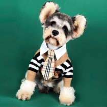 B family pet tide brand cardigan small and medium-sized dogs and cats net red Schnauzer teddy warm sweater dog clothes