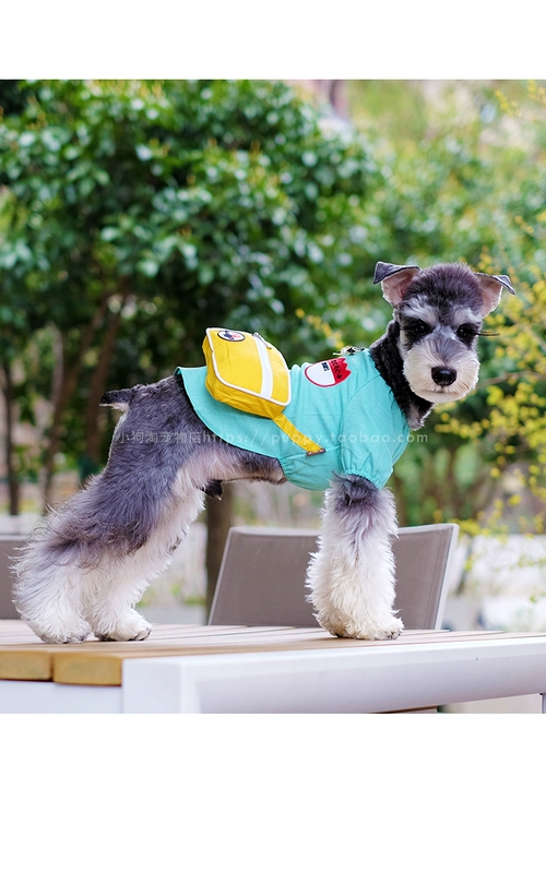Quần áo chó mẫu giáo Teddy Bomeibi gấu trúc nhỏ ba lô mùa xuân và mùa hè vest vest thương hiệu áo thun - Quần áo & phụ kiện thú cưng