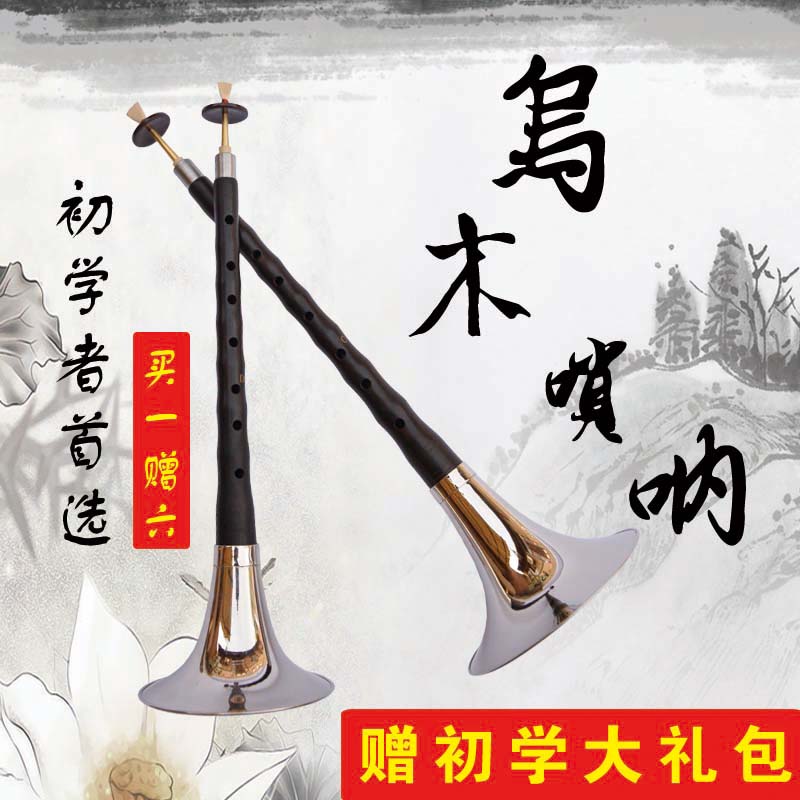 Trường trung học chuyên nghiệp treble mun pipa cụ đầy đủ bộ GCDEF thả B cấp độ kiểm tra người mới bắt đầu nhập cảnh sừng - Nhạc cụ dân tộc đàn cổ tranh