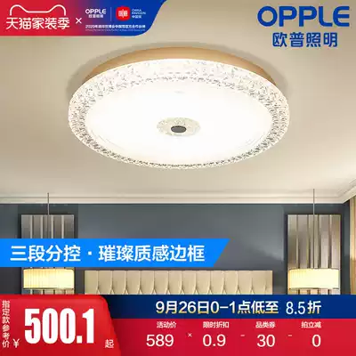 Opal lighting modern simple LED ceiling light creative light children's room light master bedroom light crystal light WS fold