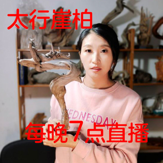 Taihang cliff Bai live wool ornaments hand-held pieces of aging material carving root carving wood carving North Taihang Shanfu Pavilion