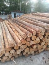 Fir log piles outdoor river revetment pine log piles landscaping seedlings tree planting poles larch wood piles