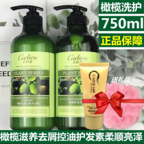 Cailian olive shampoo shower gel conditioner set for men and women with davirting soft and lasting fragrance shampoo