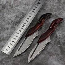 Creative Hand Small Knife Damascus Folding Knife High Hardness Sharp Anti-Body Knife Carry-on Knife Home Water Fruit Knife