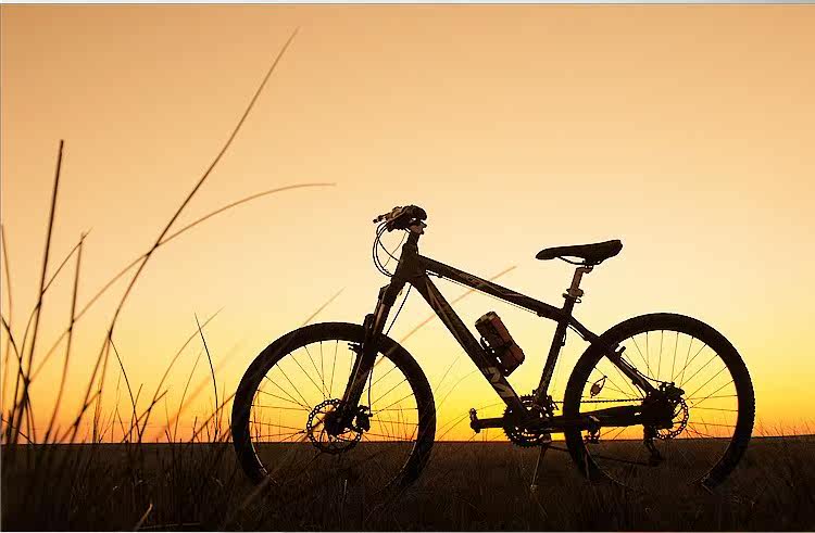 Haut-parleurs portables - Ref 2265743 Image 25