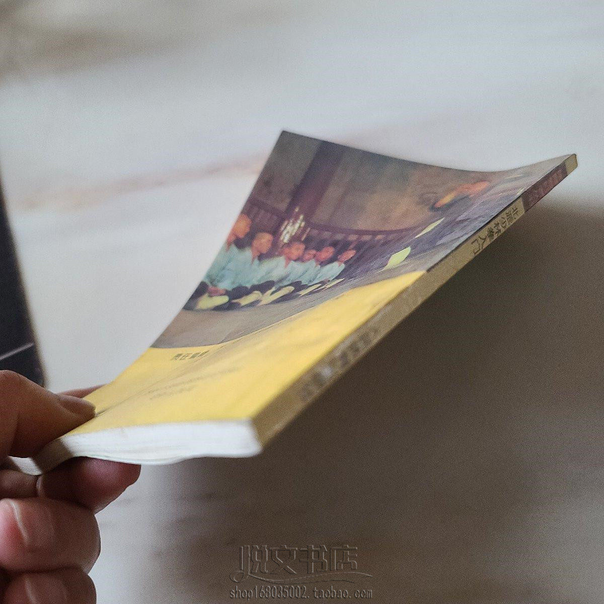 北派少林拳入门大力金刚拳掌指铁臂沙袋功武术功夫原版二手旧书籍-淘宝网