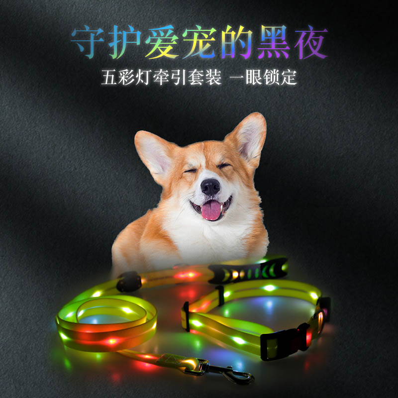 Pet Pull with Item Circle LED Luminous Five Colored Lights Traction Dog Collar Waterproof and Dirty Factory Direct-Taobao