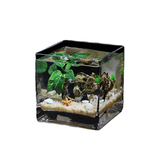 Русалочная квадратная квадратная интегрированная аквариума сгущенным на рабочем столе борьба с рыбой резервуар золотой рыбка танка домохозяйственная гидропонная посуда ваза цветок цветок большой