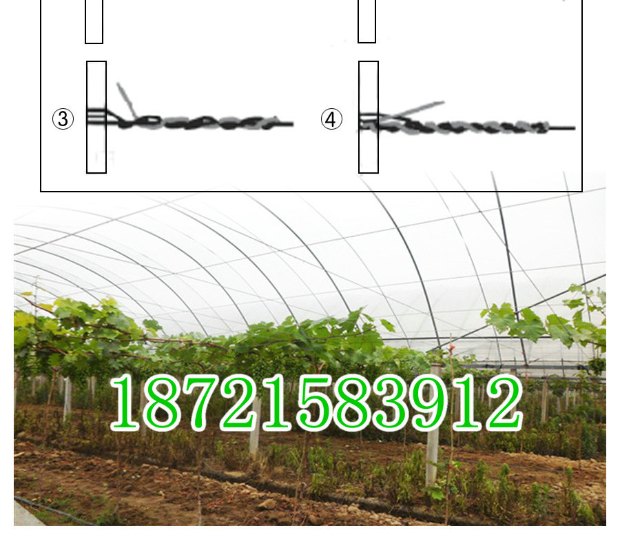 Tuyệt đẹp Qinong áp lực rèm dòng curtain curtain polyester nho khung bóng râm net nhà kính phụ kiện thép khác làm vườn nguồn cung cấp vòi tưới cây đa năng