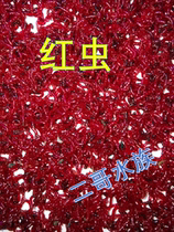 Bohai Bay second brother aquarium high quality frozen red insect ornamental fish frozen fish food fish food
