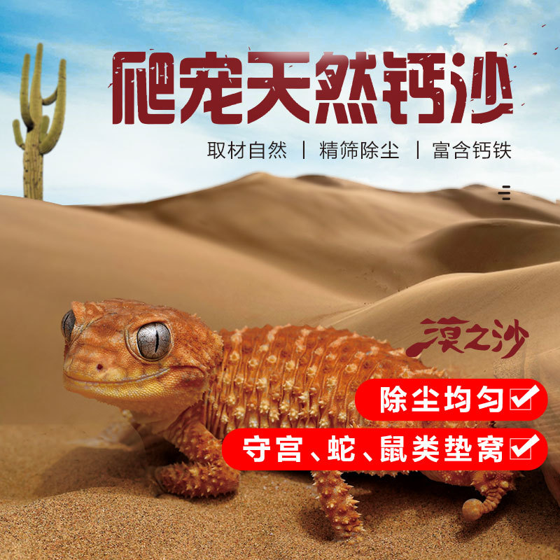 Desert Sand for Reptile Pets, Finely Sifted 100 Mesh, Suitable for Bearded Dragons, Geckos, Tortoises, as Bedding Material, for Desert Landscaping, Dust Removal, Calcium Sand Desert Sand for Reptile Pets, Finely Sifted 100 Mesh, Suitable for Bearded Dragons, Geckos, Tortoises, as Bedding Material, for Desert Landscaping, Dust Removal, Calcium Sand