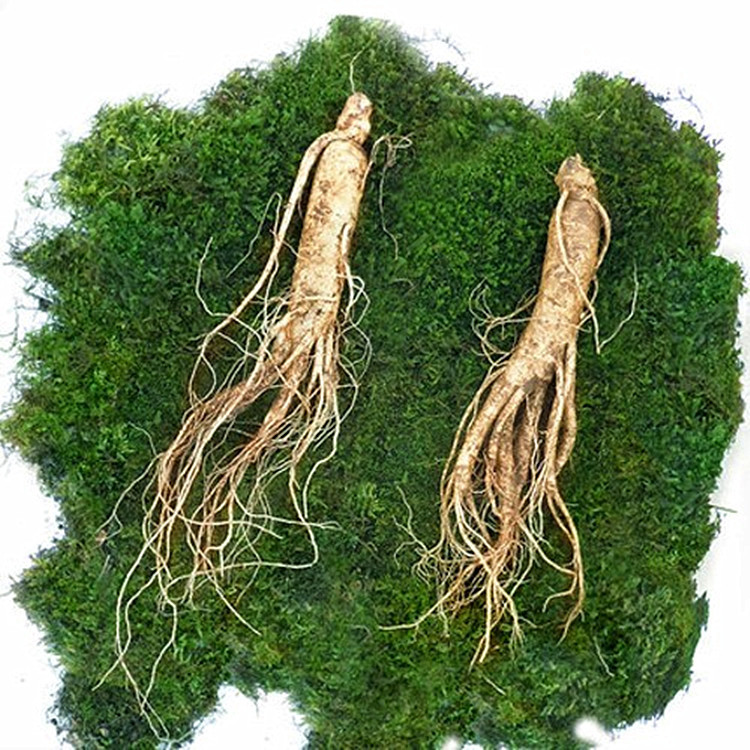Fresh ginseng with soil, Changbai Mountain fresh ginseng, fresh ginseng, fresh ginseng soaked in wine 250g 6-8 sticks