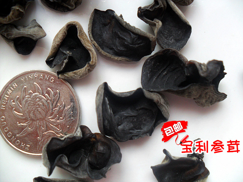 Changbai Mountain black fungus wood segment autumn fungus small piece thick meat and good taste northeast fungus wild