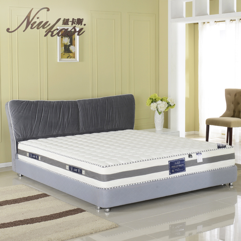 Ŧ��˹��������ϯ��˼���淲����ƷC��