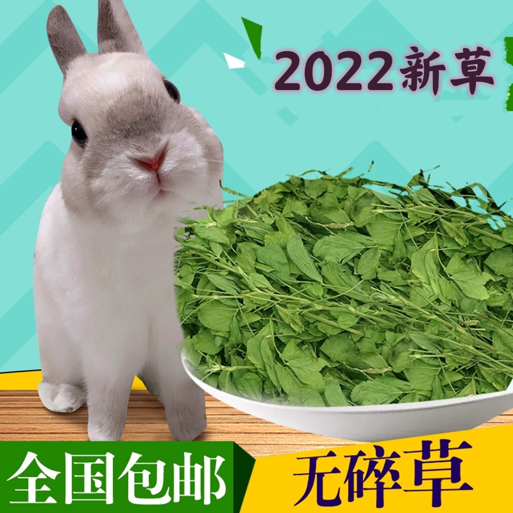 22 years of the first crop of alfalfa grass fresh hay rabbit chinchilla guinea pig feed food grass 1kg