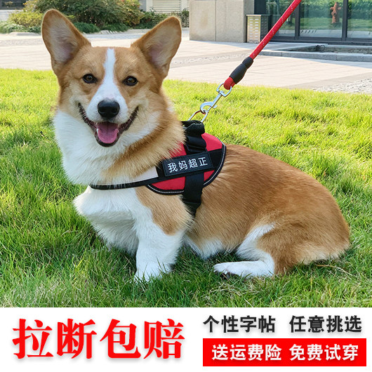 Dog leash dog vest style walking dog rope Corgi method fighting Shiba Inu small and medium-sized dog rope dog chain dog belt