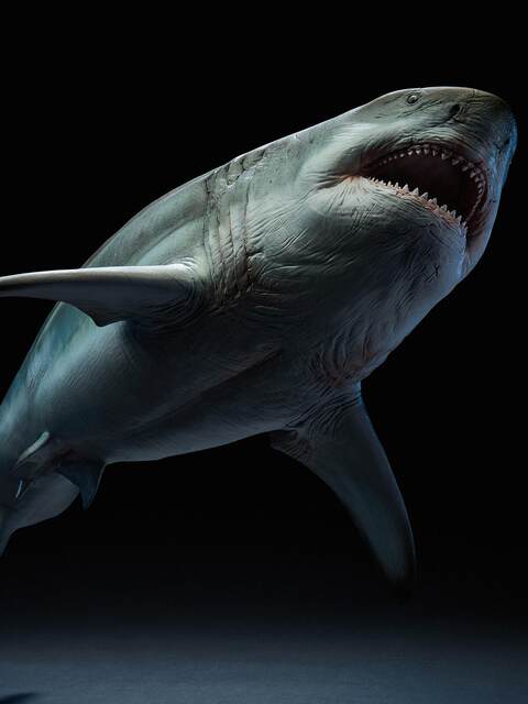 Wanlongtang Megalodon Ghost Jaw Figure Statue Model Undersea Giant Creature Ancient Biological Scene Ornament Great White Shark 1/35