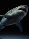 Wanlongtang Megalodon Ghost Jaw Figure Statue Model Undersea Giant Creature Ancient Biological Scene Ornament Great White Shark 1/35