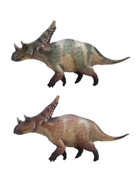Hao Longgu Pteroceratops Triceratops Jurassic Herbivorous Dinosaur Children's Toy Model Gift Pvc Ornament 1/35