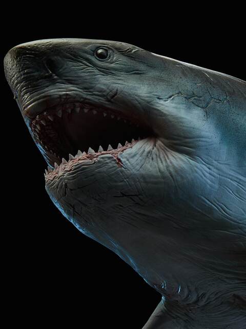 Wanlongtang Megalodon Ghost Jaw Figure Statue Model Undersea Giant Creature Ancient Biological Scene Ornament Great White Shark 1/35