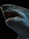 Wanlongtang Megalodon Ghost Jaw Figure Statue Model Undersea Giant Creature Ancient Biological Scene Ornament Great White Shark 1/35