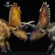 Authentic Haolonggu Pentaceratops Cetiosaurus Jurassic Dinosaur Animal Children's Toy Gift Static Model 1/35