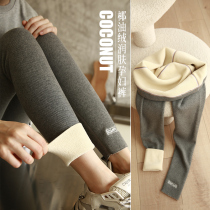 Pregnant women pants autumn and winter wear pregnant women leggings thread plus velvet padded trousers autumn pregnant women Autumn Spring and autumn