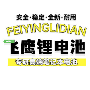 飞鹰锂电池的LOGO