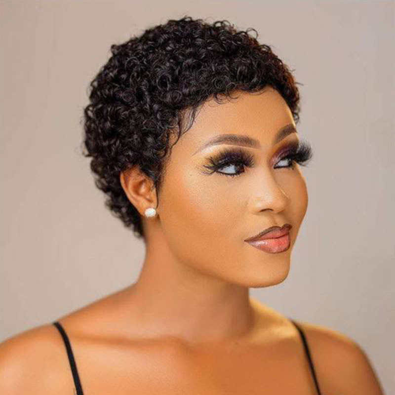 African Wig for Women, Small Curly Hair, Wool Curls, Short Curly Hair, Real Hair Full Head Wig, Retro Short Hair, Human Hair Wig African Wig for Women, Small Curly Hair, Wool Curls, Short Curly Hair, Real Hair Full Head Wig, Retro Short Hair, Human Hair Wig