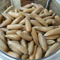 2021 New fried big seeds hand-peeled pine nuts thin shell Brazilian pine nuts original nut snacks salty Brazilian pine nuts