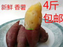 Authentic Linan Tianmu small fragrant potatoes fresh sweet potatoes yellow heart sweet potatoes mountain potatoes chestnut sweet potatoes sweet sweet potatoes 4 kg