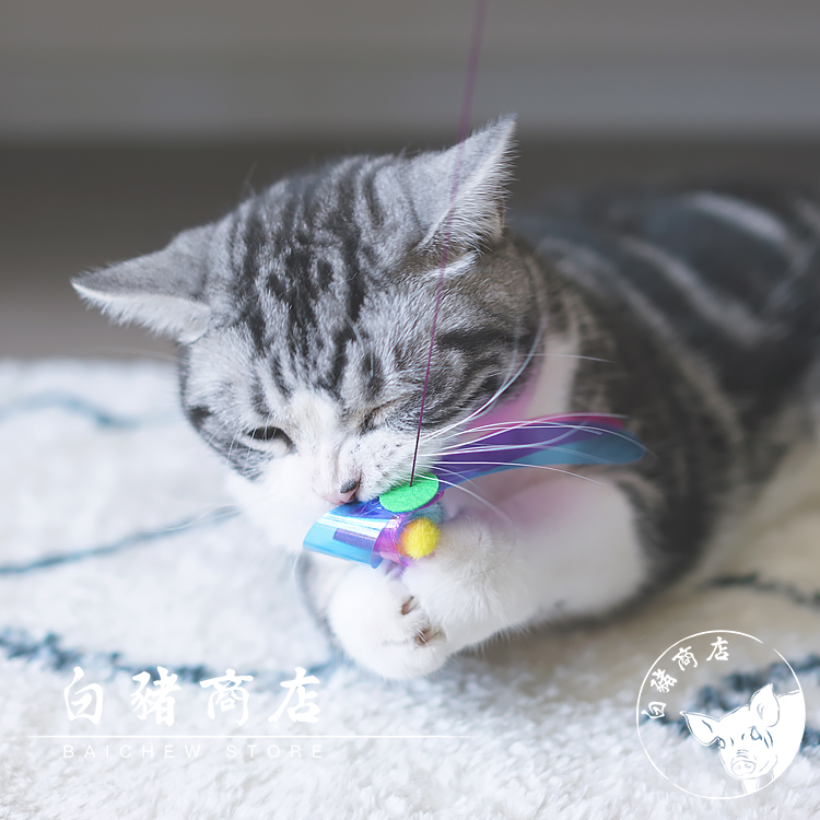 White pig shop doggy man funny cat stick Clatter fun sound funny cat artifact Cat toy Cat relieve boredom