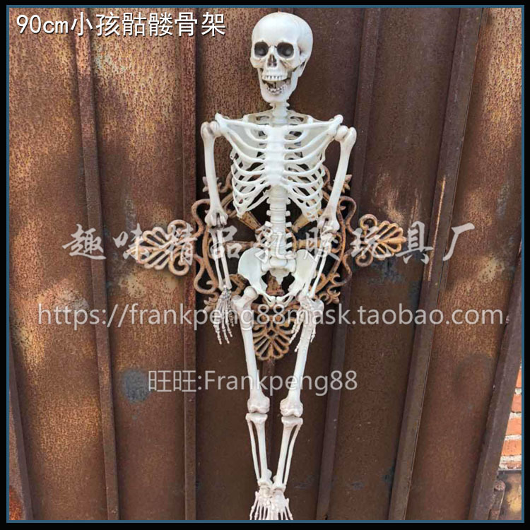 Halloween Horror Props Human Skeleton Model Props Haunted House Props Escape Room Props Mummy Halloween Horror Props Human Skeleton Model Props Haunted House Props Escape Room Props Mummy
