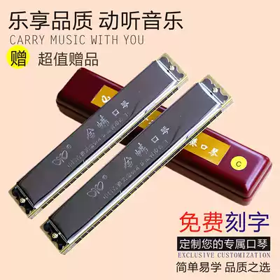 Polyphonic harmonica adult learning children monophonic harmonica Wuxi Suzuki Kingdee beginner 24-hole c tune