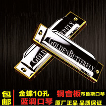 Golden Butterfly 10 Holes Blues Blues Blues Beginner Harmonica Gift Leather Set Children Toy Mini Little Harmonica