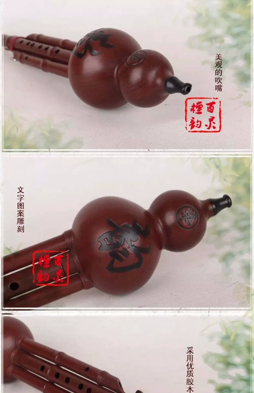 Bails Tanyun giả gỗ gụ bakelite cucurbit lụa người mới bắt đầu Vân Nam cucurbit gói nhạc cụ - Nhạc cụ dân tộc