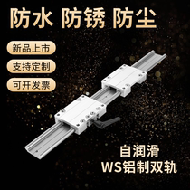 Auto-lubrification linéaire à double voie rail WS10-40 hydrofuge en plastique anti-rouille de type solide et anti-rouille en plastique antirouille