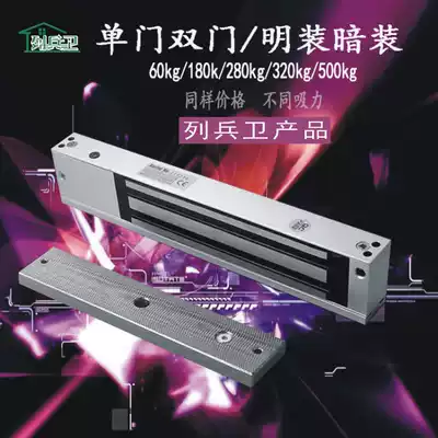 Waterproof magnetic lock automatic door electric door closer side mounted door opener