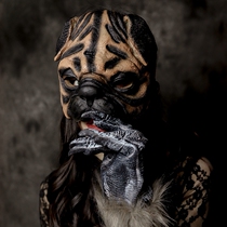 Swallow-tailed butterfly home custom mask dog animal mask