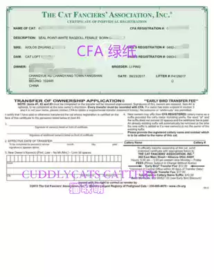 Chargé CFA green paper application nest registration blue paper registration CFA pedigree registration CFA pedigree certificate application